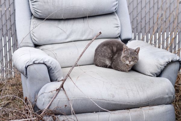 Recliner Disposal in Yuma